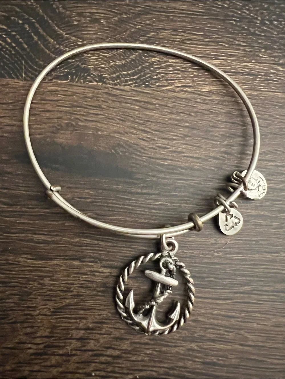 Alex and Ani Silver Tone Stackable Charm Bangle Bracelets Set of 9